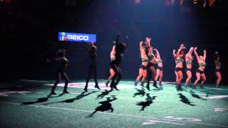 Orlando Predators Bumper