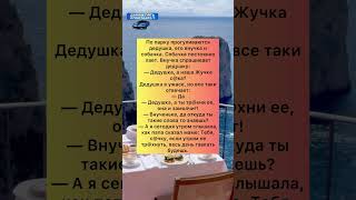 Дедушка и внучка #приколы #юмор #анекдоты #шутки #смех #reels #рекомендации