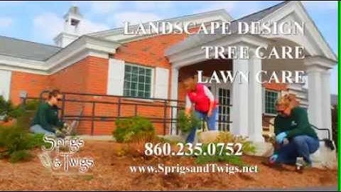 Sprigs & Twigs Introduction - 15 sec