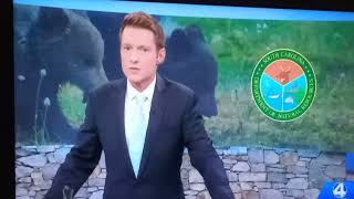 BIGFOOT AND BEARS CONFUSION IN SOUTH CAROLINA AUG 2026