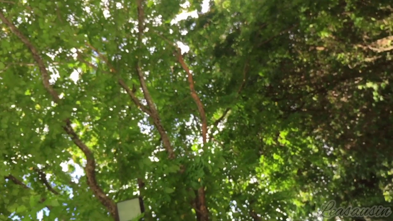 Earth’s natural color .