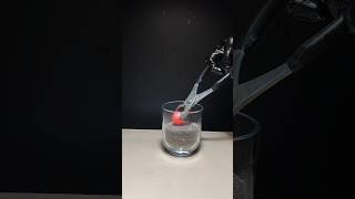 1000°C Hot Metal Ball VS Mustard Seeds #satisfying #asmr #experiments
