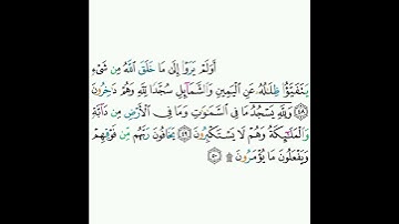 16 - سورة النحل ٤٨-٥٠ - خالد الجليل