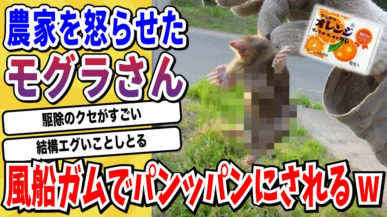 【2ch動物スレ】農家「モグラ害悪すぎるンゴねぇ…せや！」→とんでもない方法で駆除してしまうwwwww【なんj/にちゃん 面白いスレ】