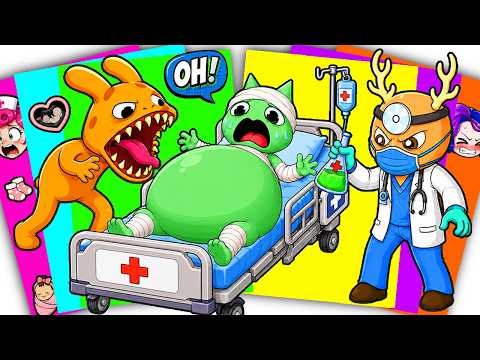 The Mystery of Pregnancy at ANIMAL HOSPITAL | Sticker Book DIY