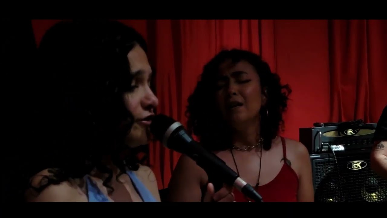 Pink Venus - Wildflower (Cover/Billie Eilish)