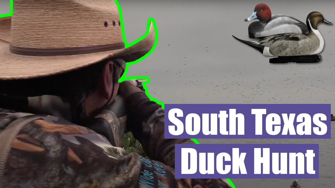 Duck Hunting | South Texas | Wigeons, Pintails, Redheads