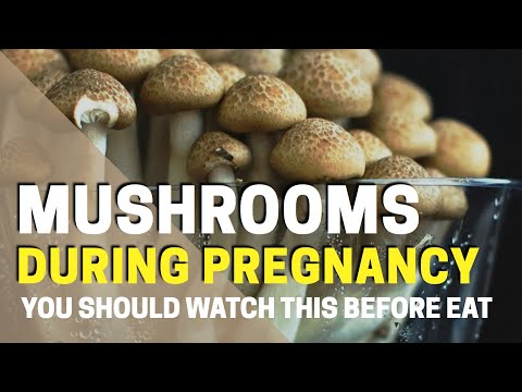 Is It Safe To Eat Enoki Mushroom While Pregnant