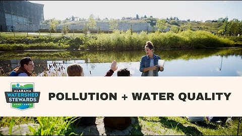 Water Quality Basics