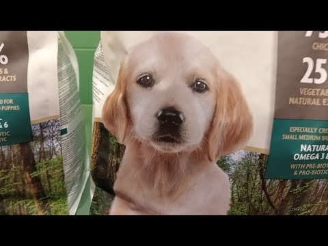 petzone kuwait🐕