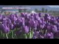 陽真『SUMMER TIME LOVER (feat. THINGS)』Haruma - SUMMER TIME LOVER (feat. THINGS) .
