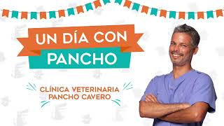 ¡Un día con Pancho desde sede Los Olivos!