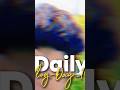 new tranding mini vilogs #shortsfeed #comedy #viral #shorts