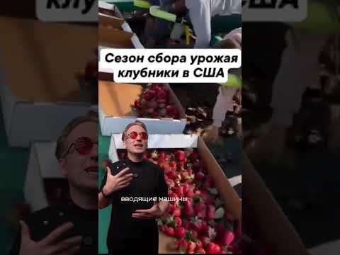 Вот такая автоматизация в 21 веке!Прошло 100 000 лет, ничего не изменилось)