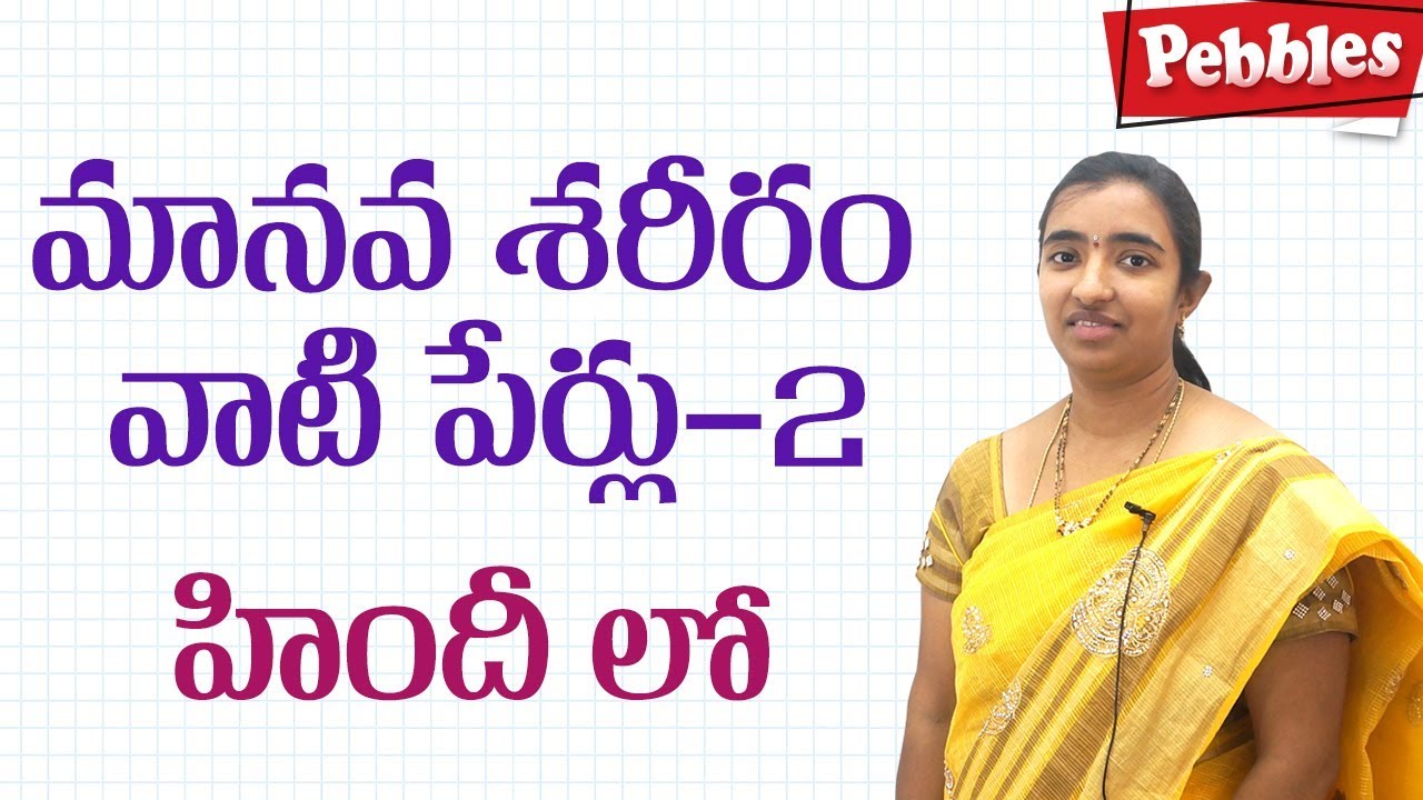 Learn Body-parts-2 names in Hindi/English | Spoken Hindi Through Telugu