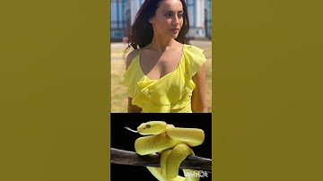 Nagin 🐍yellow dress all acters maching 🐍#Nagin #youtubeshorts #trending #viral #shorts #video