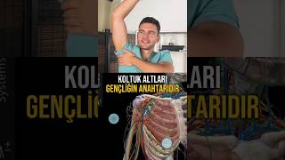 Koltuk Altları Gençliğin Anahtarıdır Çkalmak Ğalyüzgerme Imı Şlanmakarsı