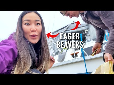 ⁣Hoisting NEW SAILS! - Ep 135