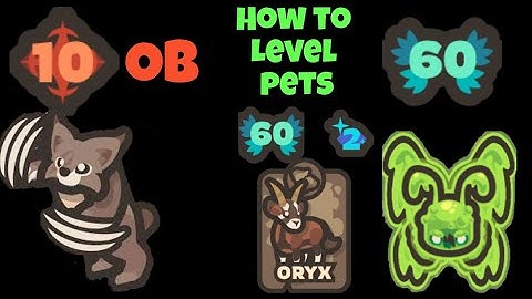 Taming.io - Leveling pets with Superdafster | 10 OB LYNX