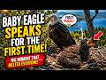 Baby Eagle SPEAKS For The First Time… ❤️🦅 || 😭 Jackie Hear The Baby’s First Little Call ❤️