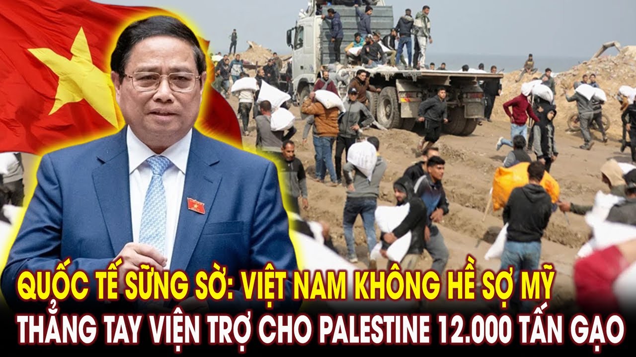 Quốc tế sững sờ: Việt Nam không hề sợ Mỹ, thẳng tay viện trợ cho Palestine 12.000 tấn gạo