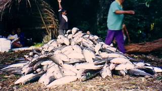 Mavana Village Sitting Meke - Vakamalolo.wmv