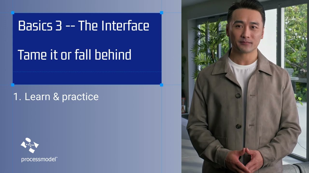 Basics 3 | Mastering the ProcessModel v6.2 Interface