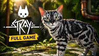 Stray Full Game - What I Wasn't Expecting