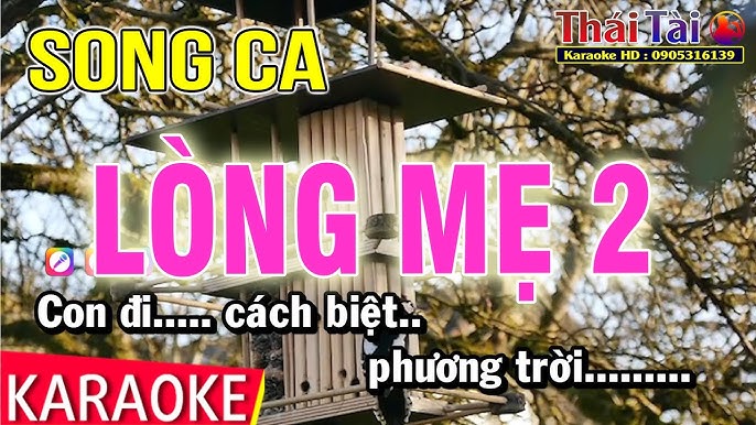 Karaoke Lòng Mẹ 2 Ngọc Sơn | Song Ca | Thái Tài