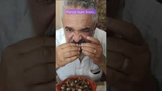 Experimentando caracol riscado na cidade de Portalegre em Portugal. rsrs. top #minhocas #agro