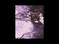 Choose me - Cathleen Kleinert [𝙎𝙡𝙤𝙬𝙚𝙙 + 𝙧𝙚𝙫𝙚𝙧𝙗]