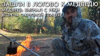 ЗАШЛИ В ЛОГОВО К МЕДВЕДЮ / МЕДВЕДЬ ВЫГНАЛ С РЕКИ / ВСТРЕЧА С КРУПНОЙ ПТИЦЕЙ ЗАШЛИ В ЛОГОВО К МЕДВЕДЮ / МЕДВЕДЬ ВЫГНАЛ С РЕКИ / ВСТРЕЧА С КРУПНОЙ ПТИЦЕЙ