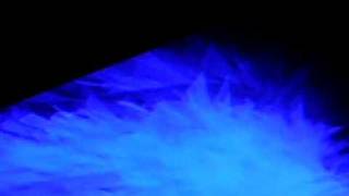 DSCN3703