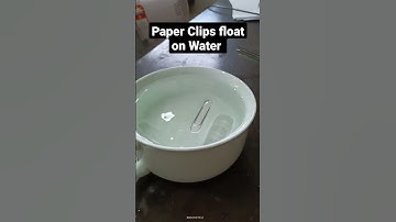 Paper Clips float on water