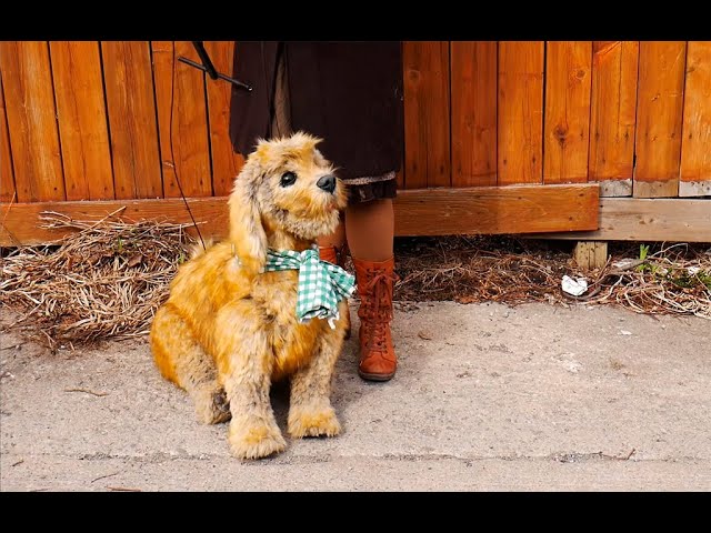Sandy, Dog Puppet for Annie the Musical - YouTube
