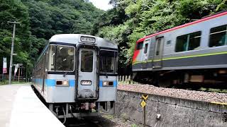 坪尻駅に停車する1000型普通列車&通過する南風12号