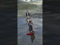 Funniest GTA 5 Experiments You Didn T Know Funniest GTA 5 Experiments You Didn T Know