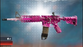 NEW BLACK ICE PACKS OMG NEW GUNS !!!