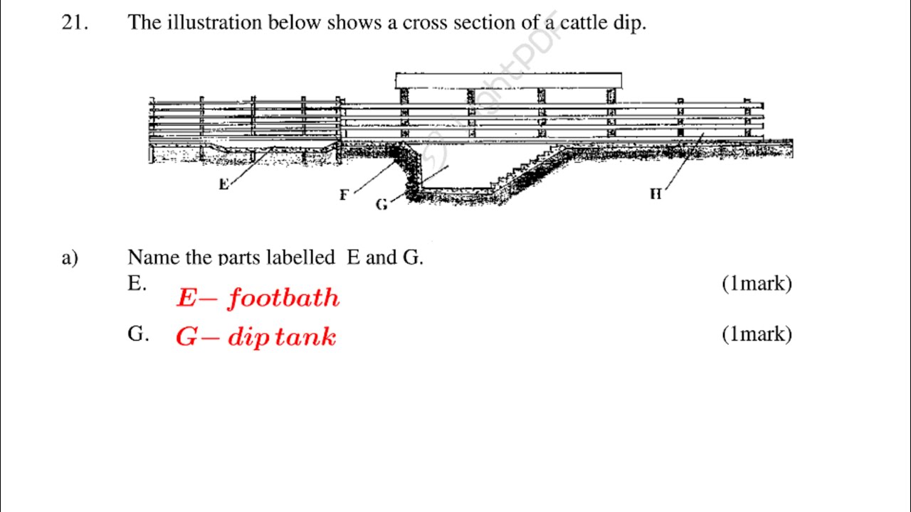 KCSE paper 2 revision #2012 agriculture questions and answers # ...