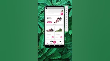 Flutter Shopping App UI
