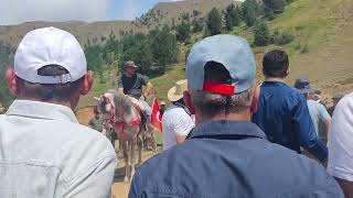 Cebeli Köyü Loriya Otçusu Horon