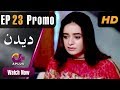 Watch Deedan - Episode 23 Promo | Aplus Dramas | Sanam Saeed, Mohib Mirza, Ajab, Rasheed | Pakistani Drama Online In HD