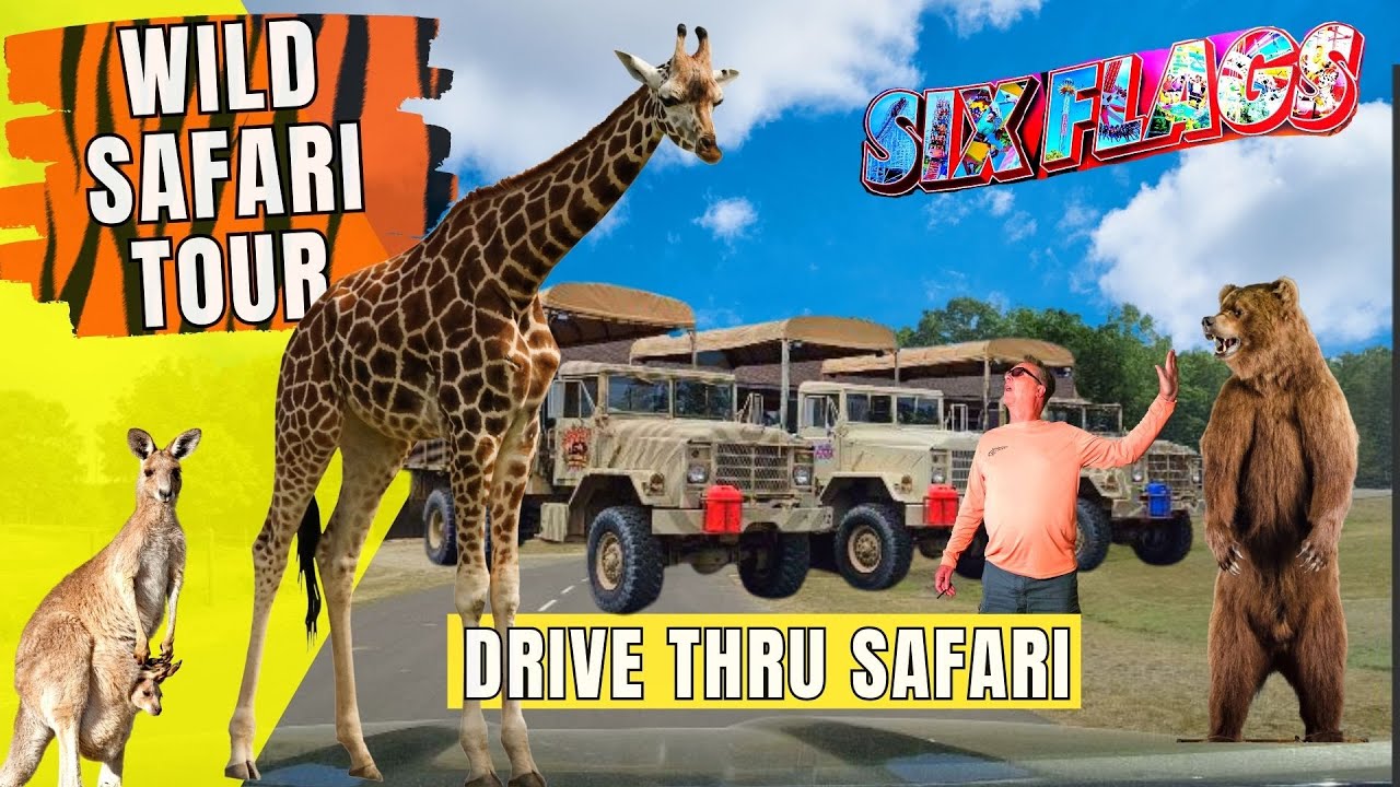 Come With Us On A Wild Safari At Six Flags Great Adventure! New