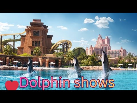 Atlantis dolphin shows Dubai