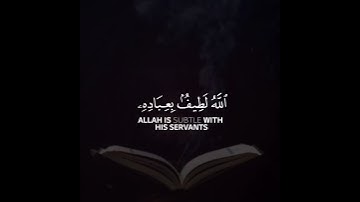 الله لطيف بعباده يرزق من يشاء وهو القوي العزيز | سورة الشورى | القارئ أحمد النفيس