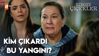 Neriman Yangının Sorumlusunu Arıyor - Kırgın Çiçekler 35. Bölüm