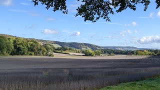 Surrey Hills, England