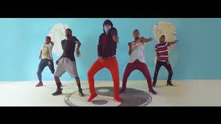 Lumino feat Werrason   Diemba Remix  Vidéo de Dance