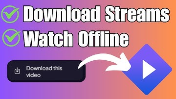 How to Use Stemio Offline (Step by Step Download Guide)
