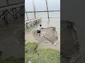 New Style Net Fishing in Deep River#FishingVideo #CastNet #BigFish #TraditionalFishing #FishingLife